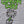 Load image into Gallery viewer, Green Day | Official Band T-shirt | Flower Pot