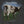 Load image into Gallery viewer, Pink Floyd | Official Band T-shirt | Atom Heart Mother Fade