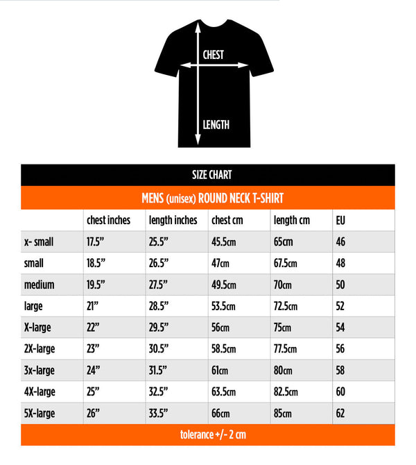 Foo Fighters T-Shirt: Flash Logo (Back Print)