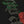 Load image into Gallery viewer, Tupac | Official Band T-Shirt | Rose Logo (Diamante)