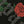 Load image into Gallery viewer, Tupac | Official Band T-Shirt | Rose Logo (Diamante)