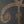 Load image into Gallery viewer, Prince | Official Ladies T-shirt | Gold Symbol (Diamante)