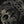 Load image into Gallery viewer, Queen | Official Band T-Shirt | Ornate Crest (Diamante)