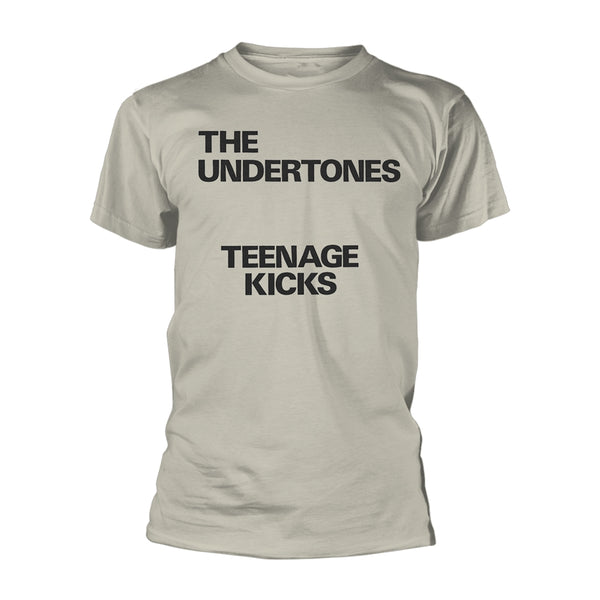 The Undertones: Teenage Kicks Text