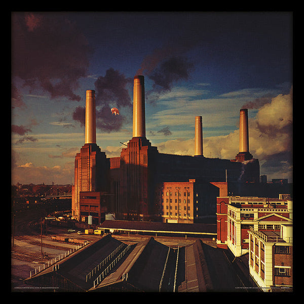 Pink Floyd Animals: 30.5 x 30.5cm Framed Print