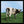 Load image into Gallery viewer, Pink Floyd Atom Heart Mother: 30.5 x 30.5cm Framed Print
