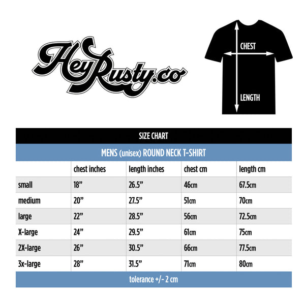 Foo Fighters Unisex T-shirt: Disco Outline